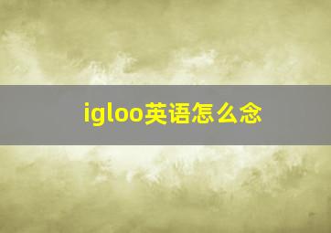 igloo英语怎么念