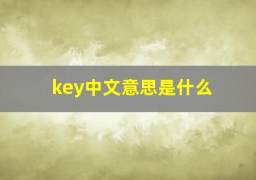 key中文意思是什么