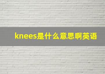 knees是什么意思啊英语