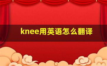 knee用英语怎么翻译