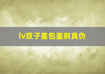 lv双子星包鉴别真伪