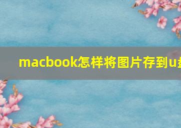 macbook怎样将图片存到u盘