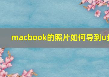 macbook的照片如何导到u盘