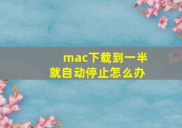 mac下载到一半就自动停止怎么办