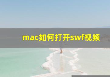 mac如何打开swf视频