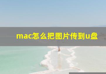 mac怎么把图片传到u盘