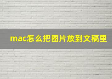 mac怎么把图片放到文稿里