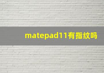 matepad11有指纹吗