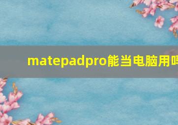 matepadpro能当电脑用吗