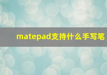 matepad支持什么手写笔