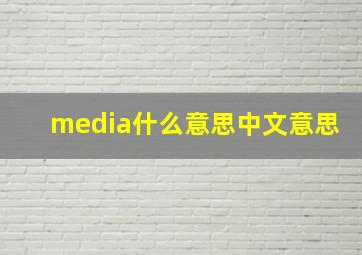 media什么意思中文意思