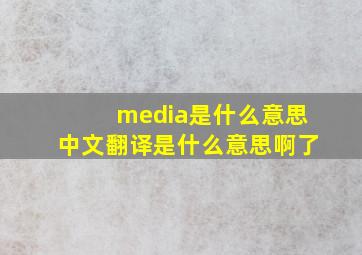 media是什么意思中文翻译是什么意思啊了