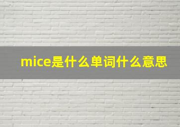 mice是什么单词什么意思