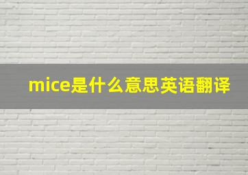 mice是什么意思英语翻译