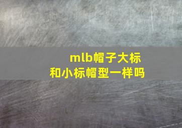 mlb帽子大标和小标帽型一样吗