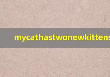 mycathastwonewkittens怎么读