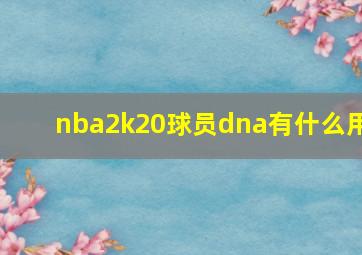 nba2k20球员dna有什么用