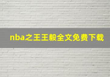 nba之王王毅全文免费下载