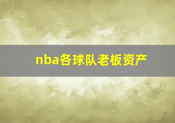 nba各球队老板资产