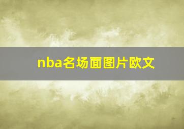 nba名场面图片欧文