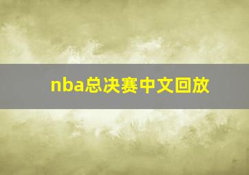 nba总决赛中文回放