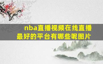 nba直播视频在线直播最好的平台有哪些呢图片