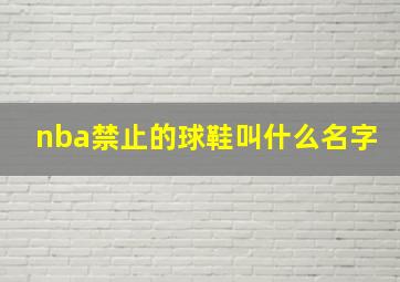 nba禁止的球鞋叫什么名字