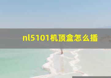 nl5101机顶盒怎么插