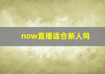 now直播适合新人吗