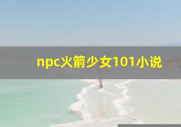 npc火箭少女101小说