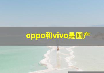 oppo和vivo是国产