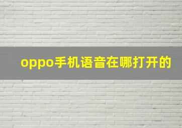 oppo手机语音在哪打开的