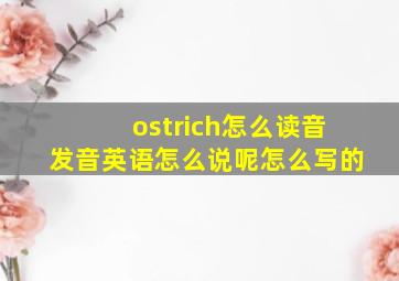 ostrich怎么读音发音英语怎么说呢怎么写的