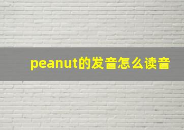 peanut的发音怎么读音