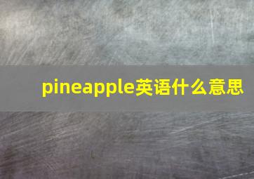 pineapple英语什么意思