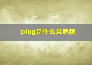 plog是什么意思哦