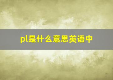 pl是什么意思英语中