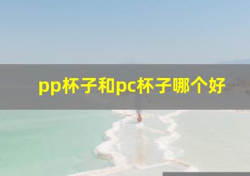 pp杯子和pc杯子哪个好