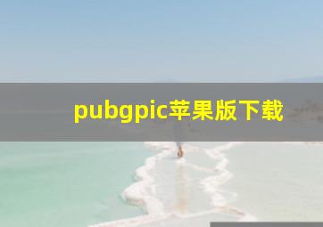 pubgpic苹果版下载