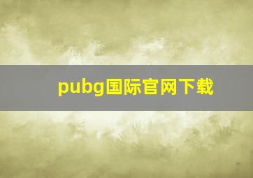 pubg国际官网下载