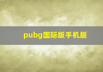 pubg国际版手机版