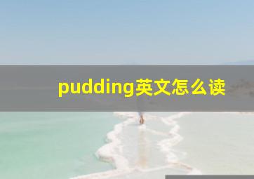 pudding英文怎么读