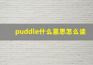 puddle什么意思怎么读