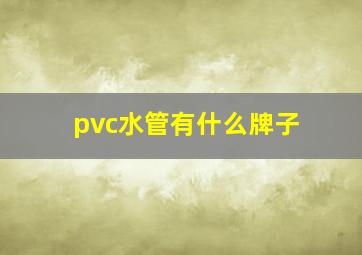 pvc水管有什么牌子