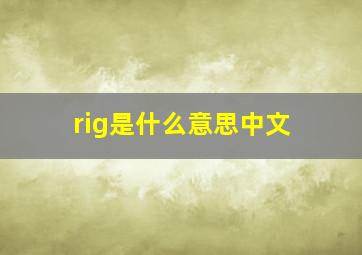 rig是什么意思中文