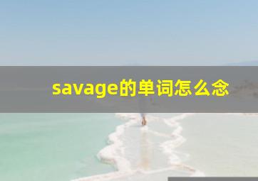 savage的单词怎么念