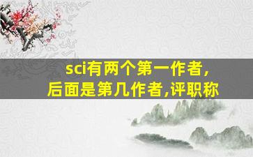 sci有两个第一作者,后面是第几作者,评职称