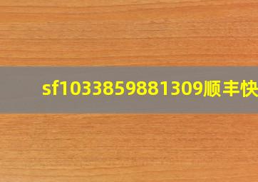 sf1033859881309顺丰快递