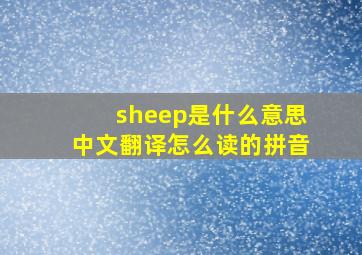 sheep是什么意思中文翻译怎么读的拼音