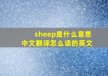 sheep是什么意思中文翻译怎么读的英文